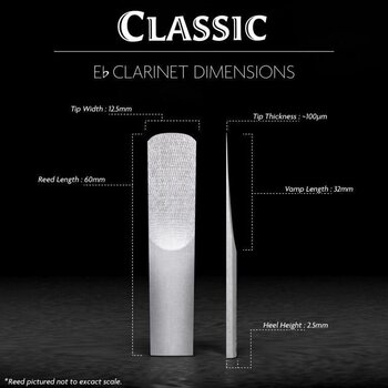 Clarinet Reed Legere Classic Eb EBC3.50 Clarinet Reed - 2
