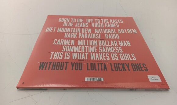 Schallplatte Lana Del Rey - Born To Die (2 LP) (Nur ausgepackt) - 6
