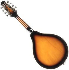 Mandolína Pasadena FSM01SB Sunburst Mandolína - 1