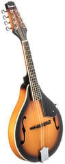 Mandolína Pasadena FSM01SB Sunburst Mandolína - 2