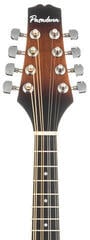 Mandolína Pasadena FSM01SB Sunburst Mandolína - 5