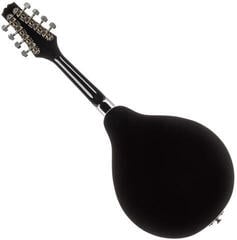 Mandolína Pasadena FSM01SR Sun Red Mandolína - 1