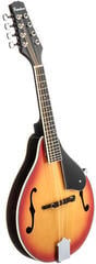 Mandolína Pasadena FSM01SR Sun Red Mandolína - 2