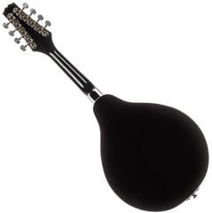 Mandolína Pasadena FSM01BK Black Mandolína - 1