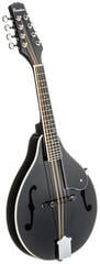 Mandolína Pasadena FSM01BK Black Mandolína - 2