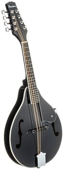 Mandolína Pasadena FSM01BK Black Mandolína - 3