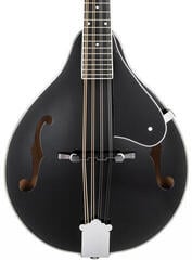 Mandolína Pasadena FSM01BK Black Mandolína - 3