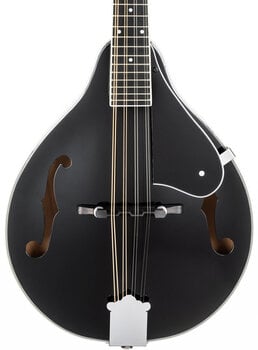 Mandolína Pasadena FSM01BK Black Mandolína - 4
