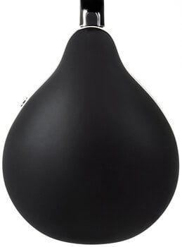 Mandolína Pasadena FSM01BK Black Mandolína - 5