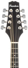 Mandolína Pasadena FSM01BK Black Mandolína - 5