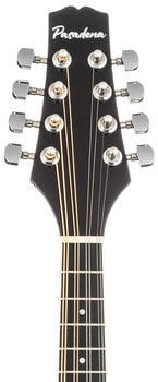 Mandolína Pasadena FSM01BK Black Mandolína - 6
