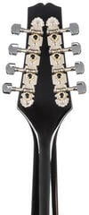 Mandolína Pasadena FSM01BK Black Mandolína - 6