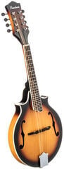 Mandolína Pasadena DCM03 Sunburst Mandolína - 2
