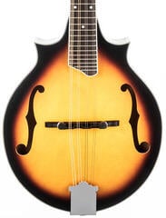 Mandolína Pasadena DCM03 Sunburst Mandolína - 3