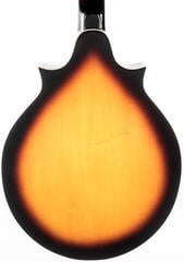 Mandolína Pasadena DCM03 Sunburst Mandolína - 4