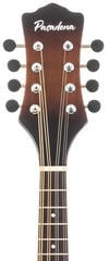 Mandolína Pasadena DCM03 Sunburst Mandolína - 5