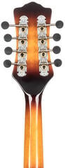 Mandolína Pasadena DCM03 Sunburst Mandolína - 6