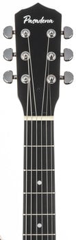 Banjo Pasadena BJ-107 Banjo - 8