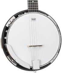 Banjo Pasadena BJ-107 Banjo - 5