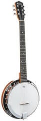 Banjo Pasadena BJ-107 Banjo - 3