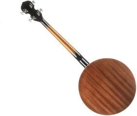 Banjo Pasadena BJ-103 Banjo - 1