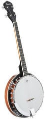 Banjo Pasadena BJ-103 Banjo - 2