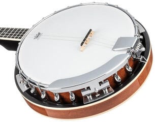 Banjo Pasadena BJ-103 Banjo - 4