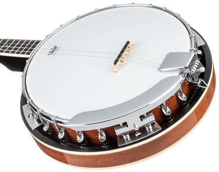 Banjo Pasadena BJ-103 Banjo - 5