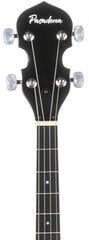 Banjo Pasadena BJ-103 Banjo - 7