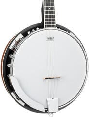 Banjo Pasadena BJ-103 Banjo - 5