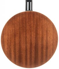Banjo Pasadena BJ-103 Banjo - 6