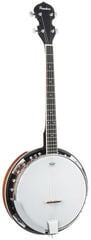 Banjo Pasadena BJ-103 Banjo - 3