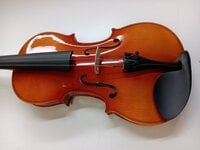 Stagg VN-L 4/4 Natural Akustische Violine