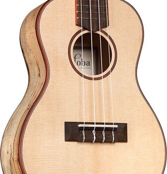 Ukulélé concert Cordoba 24C SPRUCE Natural Ukulélé concert - 5
