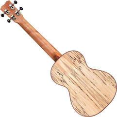 Ukelele tenor Cordoba 24T SPRUCE Natural Ukelele tenor - 1
