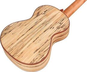 Ukelele tenor Cordoba 24T SPRUCE Natural Ukelele tenor - 3