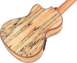Ukelele tenor Cordoba 24T-CE SPRUCE Natural Ukelele tenor - 3