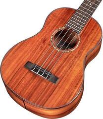Ukelele tenor Cordoba 35T TENOR AC/AC W/C Ukelele tenor - 2