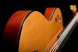 Special Acoustic-electric Guitar Cordoba STAGE ARTIST Special Acoustic-electric Guitar - 7