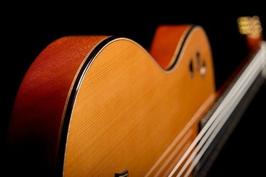 Special Acoustic-electric Guitar Cordoba STAGE ARTIST Special Acoustic-electric Guitar - 8