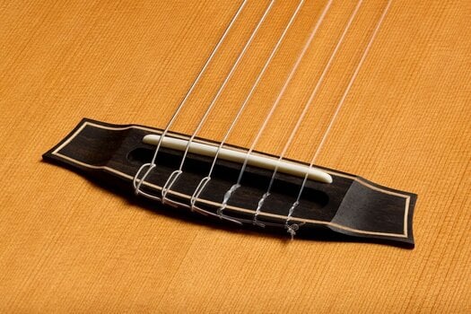Special Acoustic-electric Guitar Cordoba STAGE ARTIST Special Acoustic-electric Guitar - 9