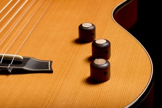 Special Acoustic-electric Guitar Cordoba STAGE ARTIST Special Acoustic-electric Guitar - 10