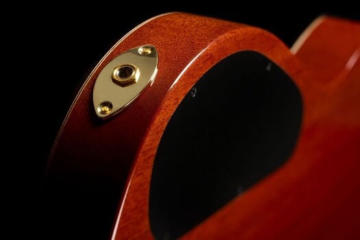 Special Acoustic-electric Guitar Cordoba STAGE ARTIST Special Acoustic-electric Guitar - 12