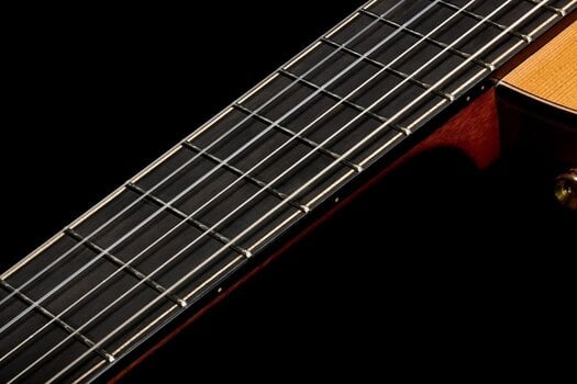 Special Acoustic-electric Guitar Cordoba STAGE ARTIST Special Acoustic-electric Guitar - 14