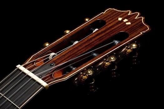 Special Acoustic-electric Guitar Cordoba STAGE ARTIST Special Acoustic-electric Guitar - 15