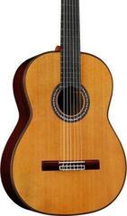 Guitare classique Cordoba C10 CD W/C Guitare classique - 5
