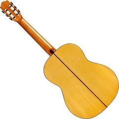 Klassikaline kitarr Cordoba F10 W/C Klassikaline kitarr - 1