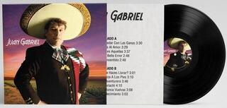 Vinüülplaat Juan Gabriel - Juan Gabriel (LP) - 1