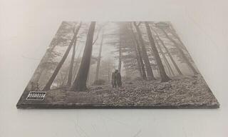 LP ploča Taylor Swift - Folklore (Deluxe Edition) (Brown Coloured) (2 LP) (Samo otvarano) - 1