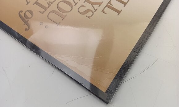 LP deska Whitney Houston - I Will Always Love You: The Best Of Whitney Houston (2 LP) (Pouze rozbaleno) - 6